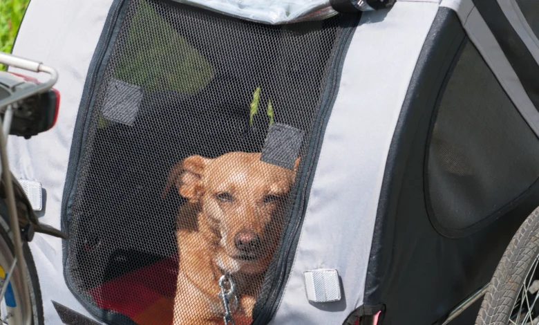 TRIXIE Bicycle trailer with a dog