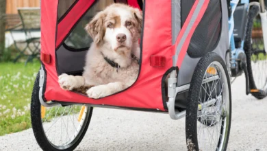 Dog Bike Trailers