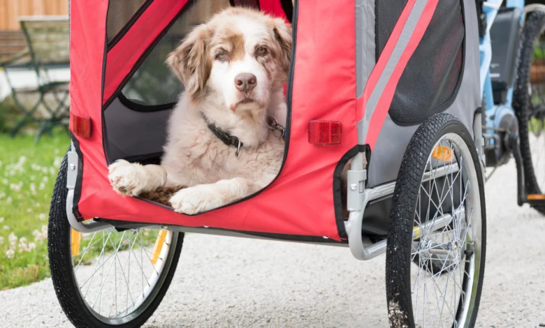 Dog Bike Trailers