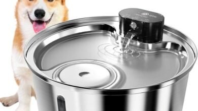 Best Stainless Steel Pet Water Fountain in 2025 for Cats & Dogs