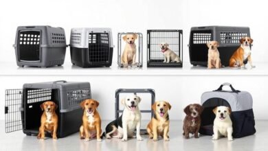9 Best Dog Crates for Travel and Home