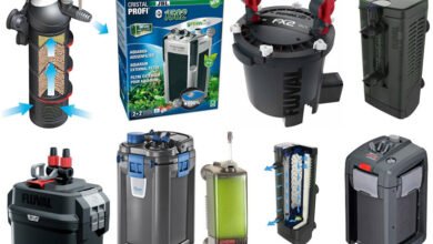 best canister filter for large aquariums