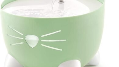 Catit Flower Fountain – Stylish Hydration Solution or Overrated?