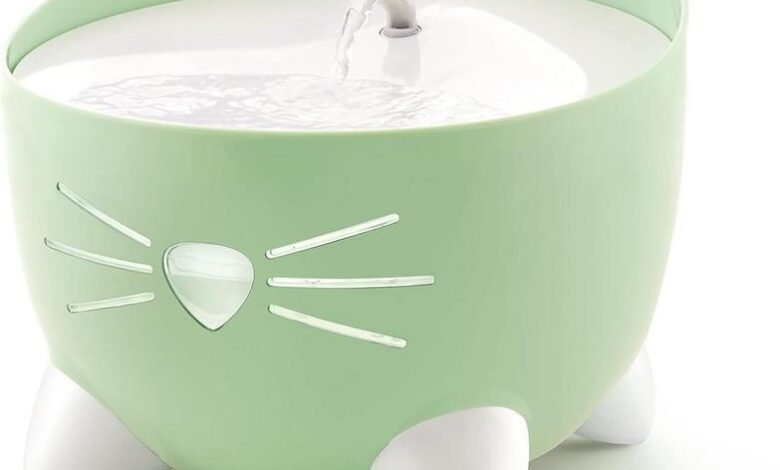 Catit Flower Fountain – Stylish Hydration Solution or Overrated?