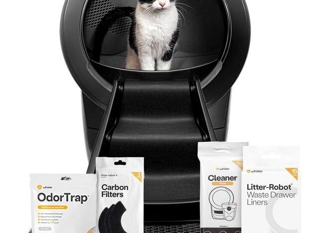 Litter-Robot 4 Automatic Cat Litter Box – Game-Changer or Gimmick?