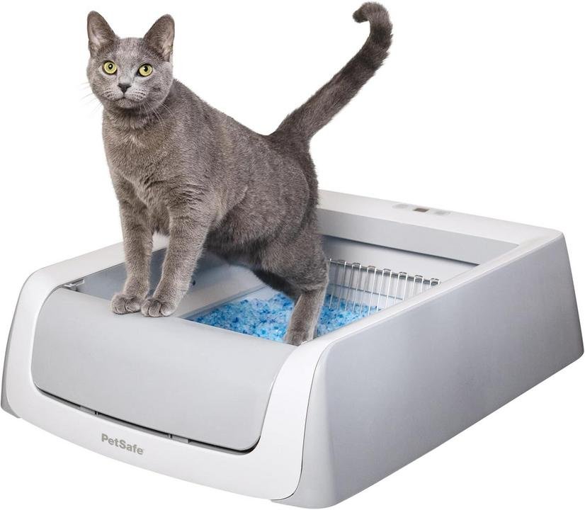 PetSafe ScoopFree Self-Cleaning Litter Box – Real Hands-Free?