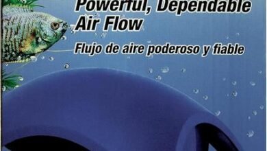 Tetra Whisper Air Pump – Quiet or Noisy in Practice?