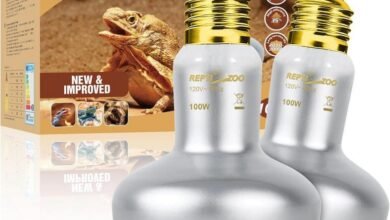 Zoo Med Reptisun UVB Bulb – Essential for Reptiles?